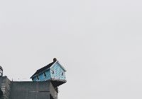 事故發(fā)生，治標(biāo)還是治本？