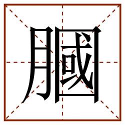 膕田字格_膕田字格书写_膕田字格笔顺_膕田字格字帖_膕田字格模板