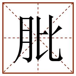 肶田字格_肶田字格书写_肶田字格笔顺_肶田字格字帖_肶田字格模板