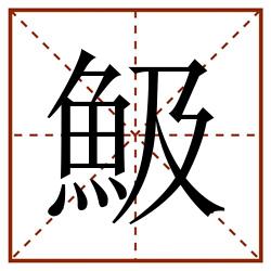 魥田字格_魥田字格书写_魥田字格笔顺_魥田字格字帖_魥田字格模板