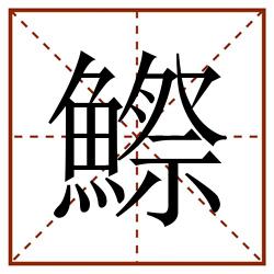 鰶田字格_鰶田字格书写_鰶田字格笔顺_鰶田字格字帖_鰶田字格模板