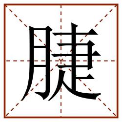 脻田字格_脻田字格书写_脻田字格笔顺_脻田字格字帖_脻田字格模板