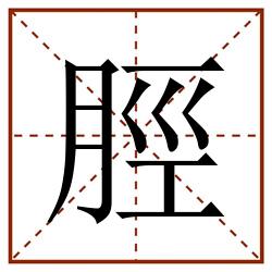 脛田字格_脛田字格书写_脛田字格笔顺_脛田字格字帖_脛田字格模板