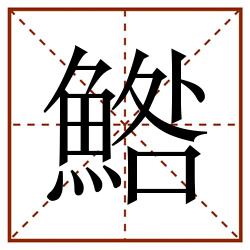 鯦田字格_鯦田字格书写_鯦田字格笔顺_鯦田字格字帖_鯦田字格模板