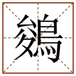 鵕田字格_鵕田字格书写_鵕田字格笔顺_鵕田字格字帖_鵕田字格模板