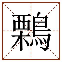 鷅田字格_鷅田字格书写_鷅田字格笔顺_鷅田字格字帖_鷅田字格模板