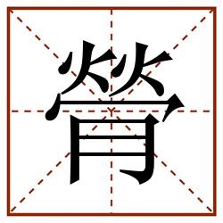 膋田字格_膋田字格书写_膋田字格笔顺_膋田字格字帖_膋田字格模板