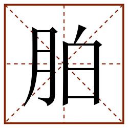 胉田字格_胉田字格书写_胉田字格笔顺_胉田字格字帖_胉田字格模板