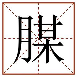 腜田字格_腜田字格书写_腜田字格笔顺_腜田字格字帖_腜田字格模板