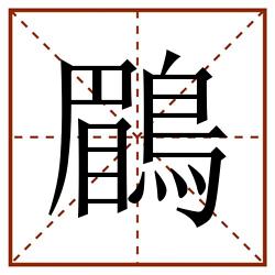 鶥田字格_鶥田字格书写_鶥田字格笔顺_鶥田字格字帖_鶥田字格模板