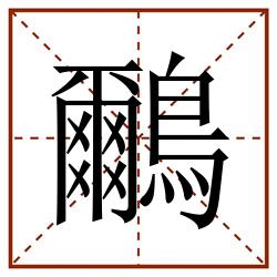 鸍田字格_鸍田字格书写_鸍田字格笔顺_鸍田字格字帖_鸍田字格模板