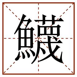 鱴田字格_鱴田字格书写_鱴田字格笔顺_鱴田字格字帖_鱴田字格模板