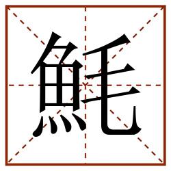 魹田字格_魹田字格书写_魹田字格笔顺_魹田字格字帖_魹田字格模板