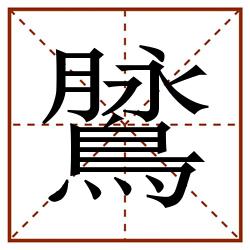 䳮田字格_䳮田字格书写_䳮田字格笔顺_䳮田字格字帖_䳮田字格模板