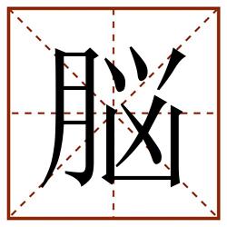 脳田字格_脳田字格书写_脳田字格笔顺_脳田字格字帖_脳田字格模板