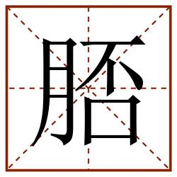 脴田字格_脴田字格书写_脴田字格笔顺_脴田字格字帖_脴田字格模板