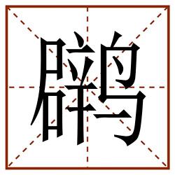 䴙田字格_䴙田字格书写_䴙田字格笔顺_䴙田字格字帖_䴙田字格模板