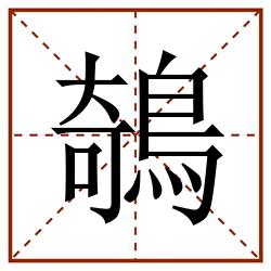 鵸田字格_鵸田字格书写_鵸田字格笔顺_鵸田字格字帖_鵸田字格模板