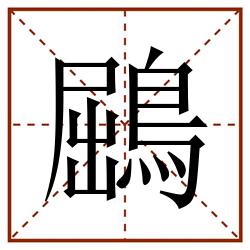鶌田字格_鶌田字格书写_鶌田字格笔顺_鶌田字格字帖_鶌田字格模板