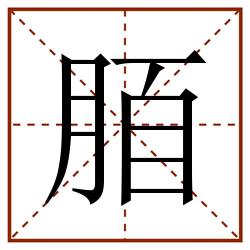 脜田字格_脜田字格书写_脜田字格笔顺_脜田字格字帖_脜田字格模板