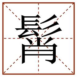 髾田字格_髾田字格书写_髾田字格笔顺_髾田字格字帖_髾田字格模板