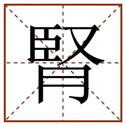腎田字格_腎田字格书写_腎田字格笔顺_腎田字格字帖_腎田字格模板
