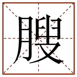 膄田字格_膄田字格书写_膄田字格笔顺_膄田字格字帖_膄田字格模板