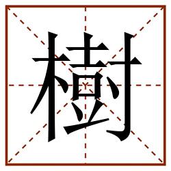 樹田字格_樹田字格书写_樹田字格笔顺_樹田字格字帖_樹田字格模板