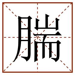 腨田字格_腨田字格书写_腨田字格笔顺_腨田字格字帖_腨田字格模板