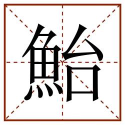 鮐田字格_鮐田字格书写_鮐田字格笔顺_鮐田字格字帖_鮐田字格模板