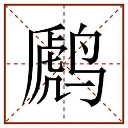 䴘田字格_䴘田字格书写_䴘田字格笔顺_䴘田字格字帖_䴘田字格模板