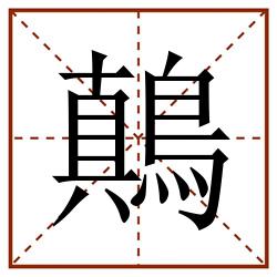 鷏田字格_鷏田字格书写_鷏田字格笔顺_鷏田字格字帖_鷏田字格模板
