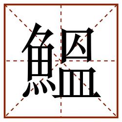 鰮田字格_鰮田字格书写_鰮田字格笔顺_鰮田字格字帖_鰮田字格模板