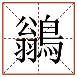 鶲田字格_鶲田字格书写_鶲田字格笔顺_鶲田字格字帖_鶲田字格模板
