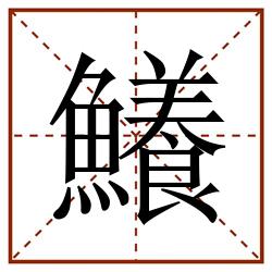 鱶田字格_鱶田字格书写_鱶田字格笔顺_鱶田字格字帖_鱶田字格模板
