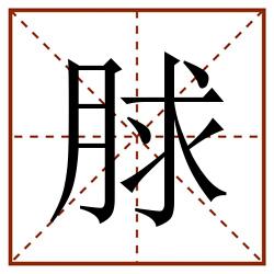 脙田字格_脙田字格书写_脙田字格笔顺_脙田字格字帖_脙田字格模板