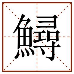 鱘田字格_鱘田字格书写_鱘田字格笔顺_鱘田字格字帖_鱘田字格模板