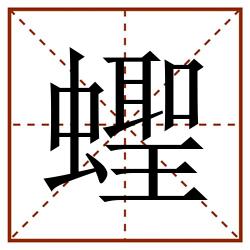 蟶田字格_蟶田字格书写_蟶田字格笔顺_蟶田字格字帖_蟶田字格模板