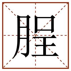 脭田字格_脭田字格书写_脭田字格笔顺_脭田字格字帖_脭田字格模板