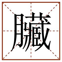臟田字格_臟田字格书写_臟田字格笔顺_臟田字格字帖_臟田字格模板