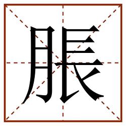 脹田字格_脹田字格书写_脹田字格笔顺_脹田字格字帖_脹田字格模板