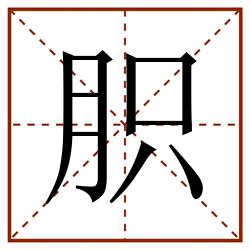 胑田字格_胑田字格书写_胑田字格笔顺_胑田字格字帖_胑田字格模板