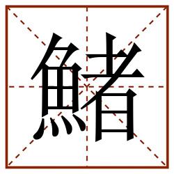 鯺田字格_鯺田字格书写_鯺田字格笔顺_鯺田字格字帖_鯺田字格模板