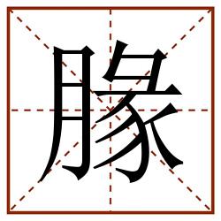 腞田字格_腞田字格书写_腞田字格笔顺_腞田字格字帖_腞田字格模板