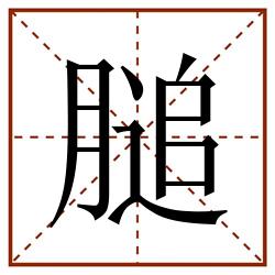 膇田字格_膇田字格书写_膇田字格笔顺_膇田字格字帖_膇田字格模板