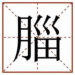 䐉田字格_䐉田字格书写_䐉田字格笔顺_䐉田字格字帖_䐉田字格模板