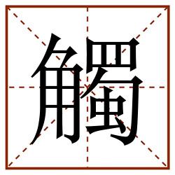 觸田字格_觸田字格书写_觸田字格笔顺_觸田字格字帖_觸田字格模板