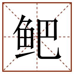 鲃田字格_鲃田字格书写_鲃田字格笔顺_鲃田字格字帖_鲃田字格模板