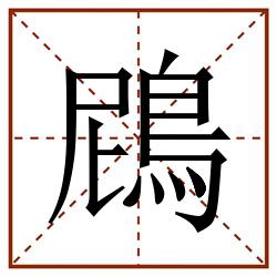 䲿田字格_䲿田字格书写_䲿田字格笔顺_䲿田字格字帖_䲿田字格模板