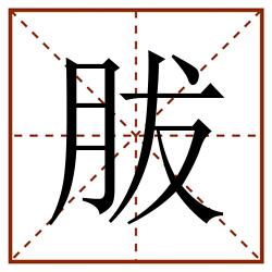 胈田字格_胈田字格书写_胈田字格笔顺_胈田字格字帖_胈田字格模板